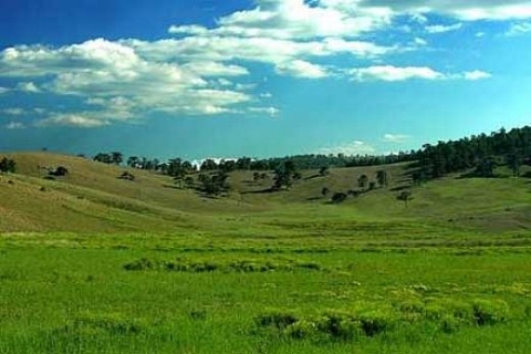Mera Kanunu Bakanlar Kurulu'nda imzaya açıldı!