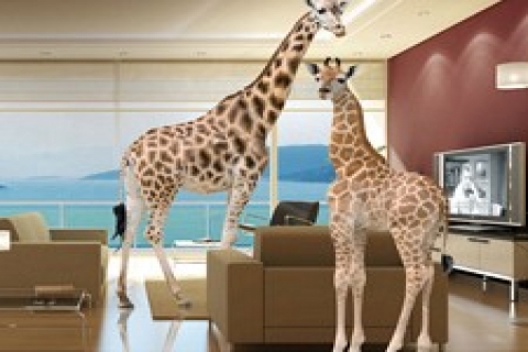 Dap Royal Center 'da yüksek tavanın ferahlığını yaşayın! 308 bin TL 'ye!