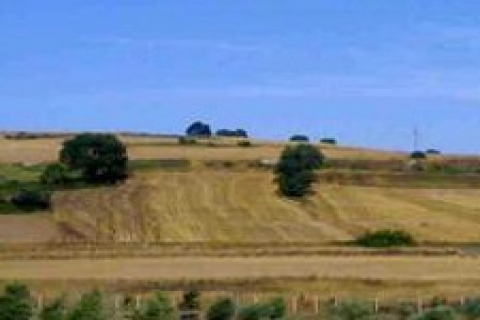 çatalca'da icradan 1 milyon 174 bin TL'ye satılık 8 tarla!