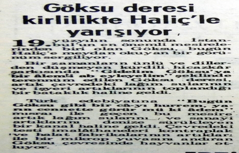 1983 yılında Göksu Deresi kirlilikte Haliç le yarışır olmuş!