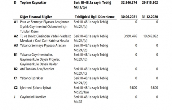 İdealist GYO nun öz kaynakları 13.7 milyon TL oldu!