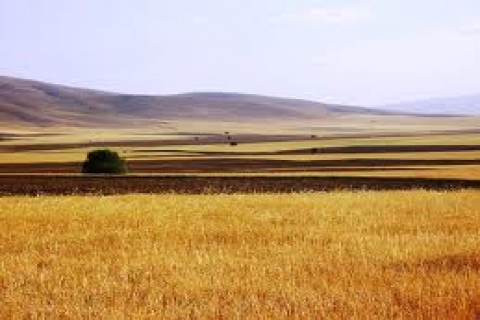  Konya'da 52.3 milyon TL'ye satılık arsalar ve tarla!