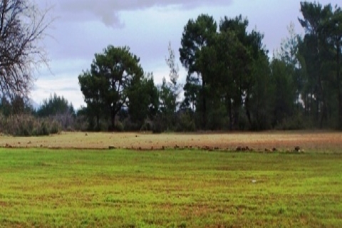  Yalova'da arsa fiyatları yüzde 300 arttı!