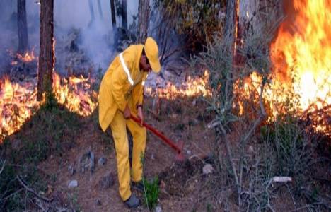 Didim'de makilik alanda yangın çıktı!