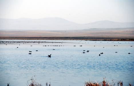 Kuyucuk Gölü'ndeki su seviyesi 2-3 metreye düştü!