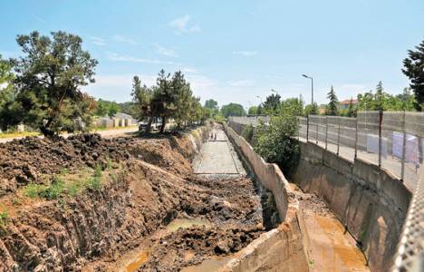 Florya'daki ağaçların sökülmesine çevreciler tepki gösteriyor!