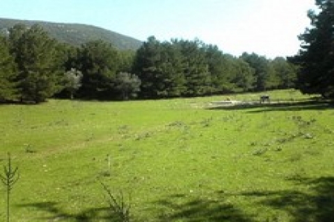 İBB Beşiktaş 'ta 1 milyon 710 bin 650 TL 'ye arsa satıyor!