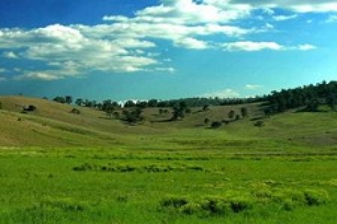 OSB'lerdeki meralara Hazine dava açabilecek