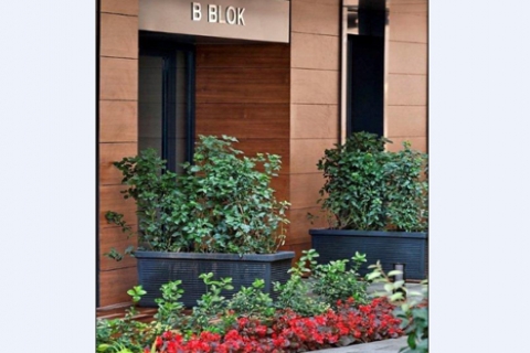 29 karede Terrace Feri turu!