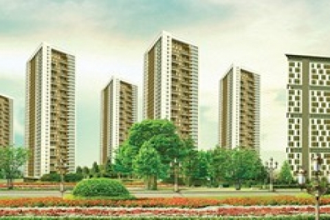 Ukra City 'de zamsız son gün! 75 bin TL 'ye!