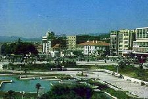 Aydın'da 2 adet taşınmaz ihale edilecek!