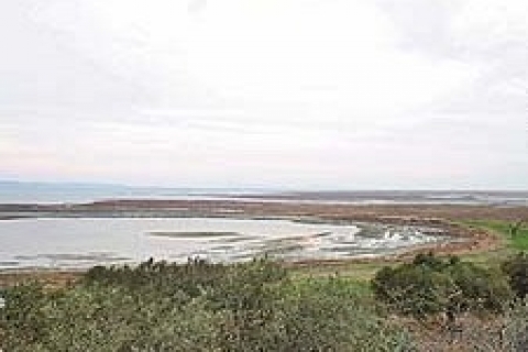 çandarlı Limanı için 24 Mart'ta ihaleye çıkılacak