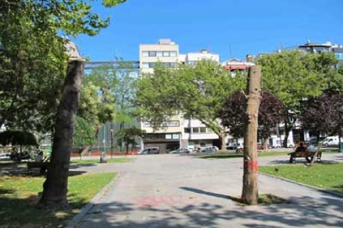  Taksim Gezi Parkı'ndaki budama vatandaşların tepkisini çekti!