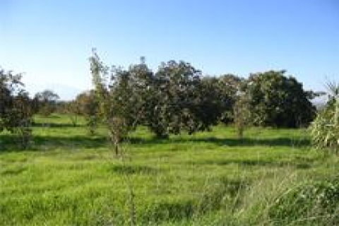 İçişleri Bakanlığı Mersin'de 36 bin metrekare arsa satıyor