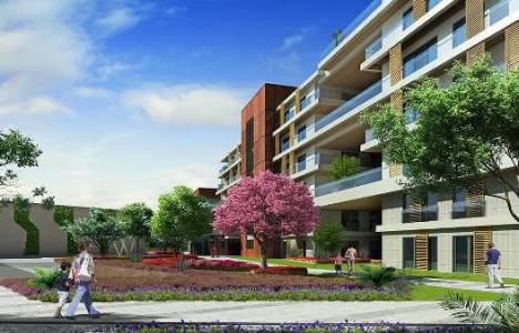 Green İst resimleri!