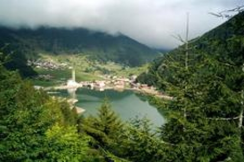 Trabzon'da taşınmaz yatırımına ait turizm alanı tahsisi!