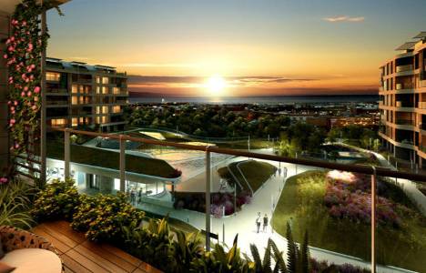 Koru Florya resimleri!