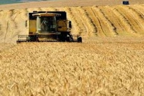 Tarım arazisine yatırım çılgınlığı Türkiye'yi de sardı!