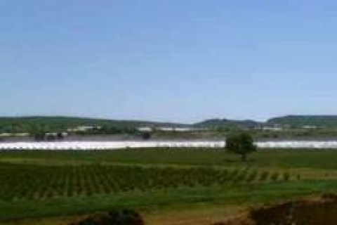 Manavgat'ta 9 hazine arazisi satışa çıkarıldı!