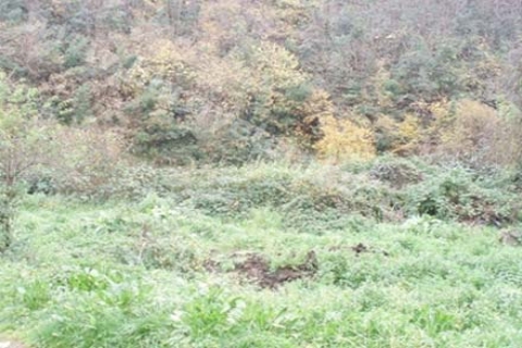 KİPTAŞ Beykoz'daki 554 dönüm arsaya konut yaptıracak!