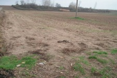 Söke Belediyesi, 10 arsayı 4,4 milyon TL'den satıyor!