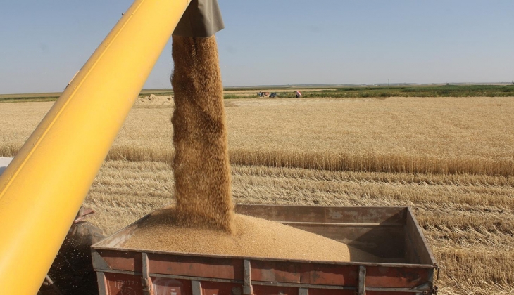 Çiftçilerden peşin paraya buğday alınacak! Son tarih açıklandı iki gün içinde hesaplara yatacak