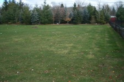 çorlu'da malmüdürlüğünden 650 bin TL'ye arsa!