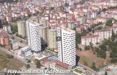 Helenium Twins evleri