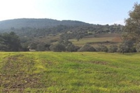 Kayseri'de icradan satılık mermer ve taş işleme fabrikası!