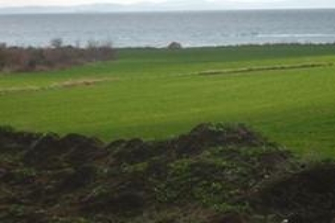 İBB, Beşiktaş'ta arsa satacak