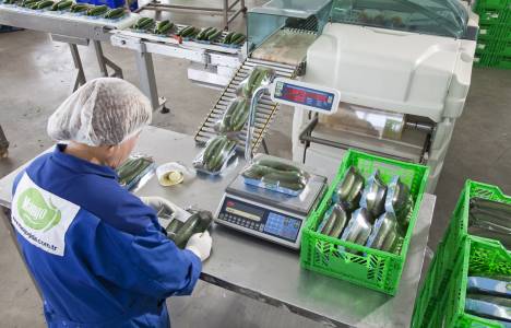 Mango Gıda binasının bir kısmı kiraya veriliyor!