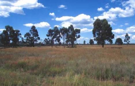 Mamak Belediyesi'nden 9.8 milyon TL'ye satılık arsa! 