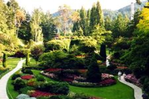 Bahçeler için bakım önerileri!