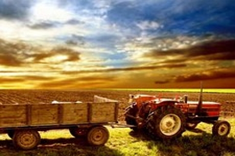 Türk çiftçisi topraktan 85 milyar lira çıkardı!