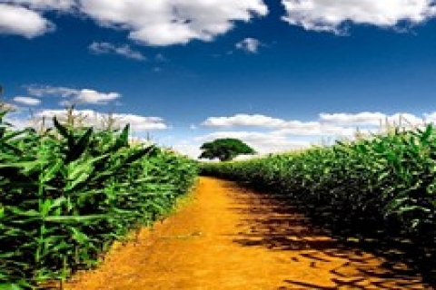 Ankara'da icradan 1 milyon 207 bin TL'ye satılık 2 gayrimenkul!