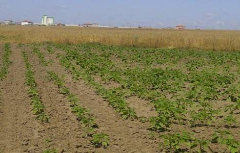 Tekirdağ'da satılık arsa 5 milyon liraya!