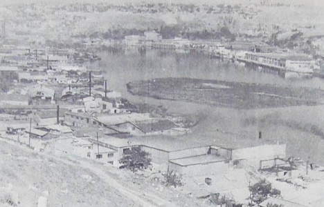 1977 yılında Haliç'e tonlarca ilaç dökülecekmiş!