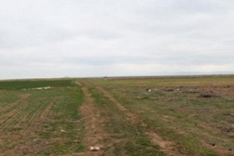 Eskişehir'de icradan 1 milyon 240 bin TL'ye satılık arsa!