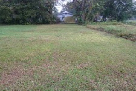 Muğla'da icradan 633 bin TL'ye satılık arsa!