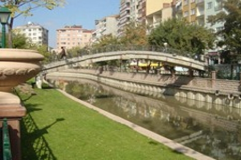 Eskişehir'de icradan satılık 10 konut! 150 bin TL'ye!