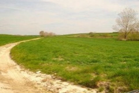 İzmir Defterdarlığı İzmir'de arsa ve tarla satacak!