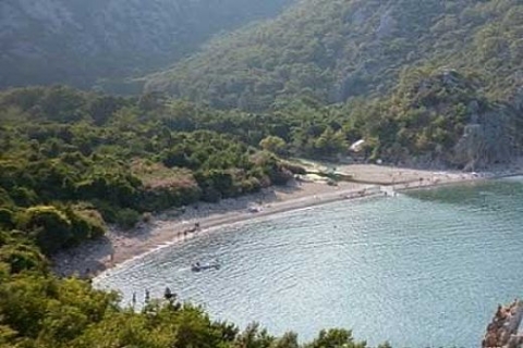 Çıralı'daki carettaların yuvalama alanı Ormanspor'dan alınıyor!