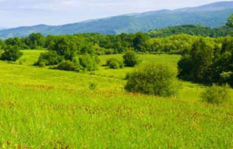 Şile emlak fiyatları!