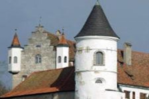 Nicholas Cage, 28 odalı şatosunu sattı