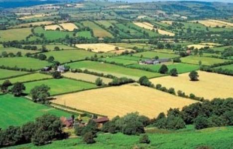  2B arazileri için hak sahiplerinin son başvuru tarihi 26 Şubat! 