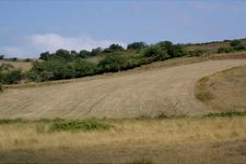 Sivas'ta satılık 70 bin 259 metrekare arsa!