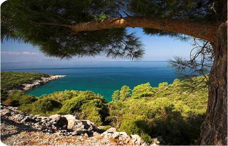 Dilek Yarımadası'nda Bizans dönemine ait şapel bulundu! 