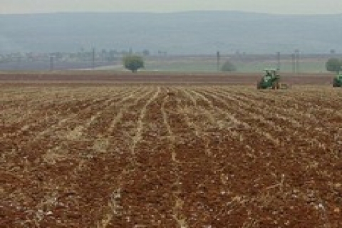 Rixos Residences Bomonty'de 350 bin dolara!