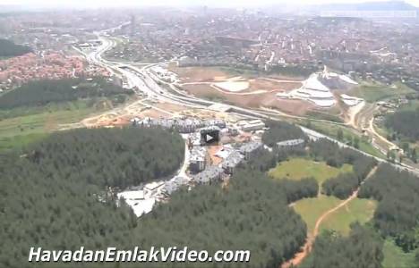 ant orman çekmeköy