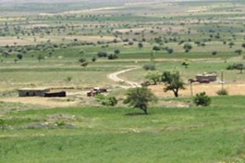 13 bin hektar alanda arazi toplulaştırma kararı alındı!